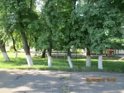 Ласточка - 2