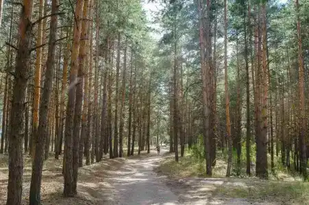 Усадьба - 2