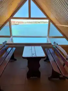 Дельфин - 0