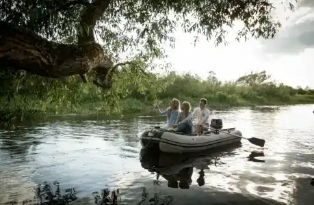 Forest river - 26