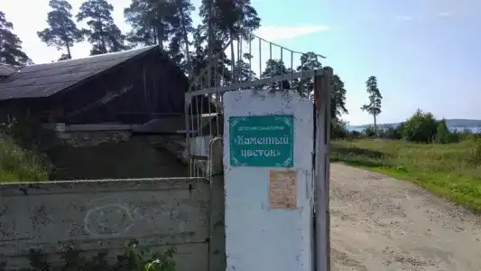 Каменный цветок - 14