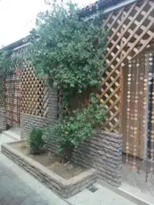 Inn Mango - 9