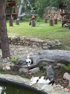 Панковский закуток - 32