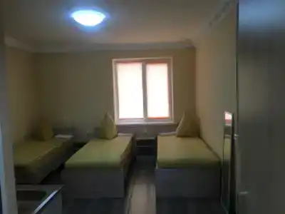 Хвойная - 0