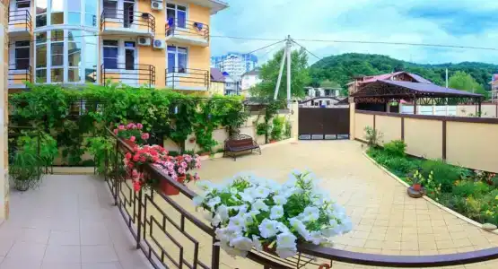 Виолетта - 6