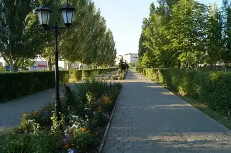 Светлана - 17