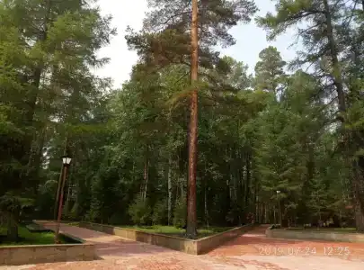 Лесная сказка - 4
