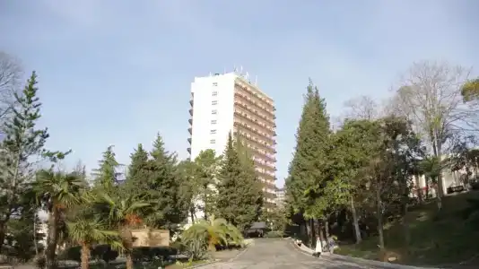 Салют - 1