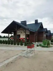 Камыши - 28