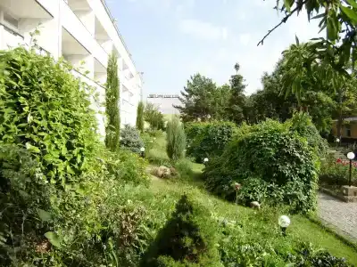 Буревестник - 3