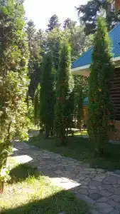 Лесной дом - 39