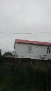 Белый - 3