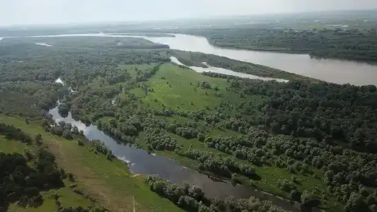 Папина Рыбалка - 19