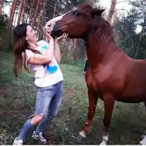 Хопёр - 19