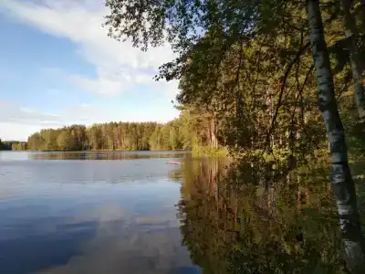 Белый Дельфин - 30