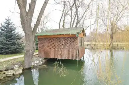 Зеленый Яр - 36
