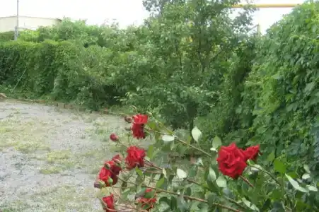 В гостях у Людмилы - 3