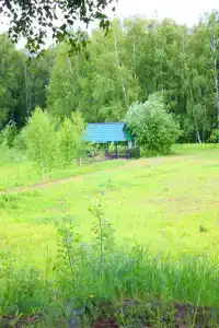 Волжские зори - 3