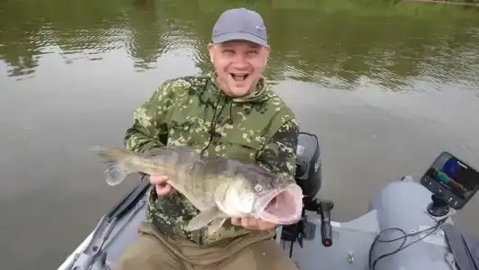 Левада - 38
