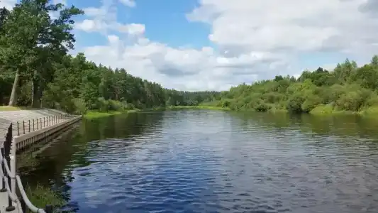 Березинская Дубрава - 42