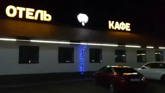 Феникс - 17