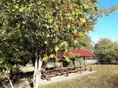 Дальний кордон - 1