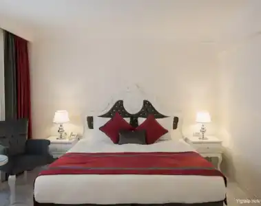 Yigitalp Istanbul - 21