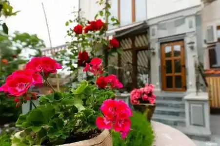 КупрИнн - 39