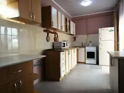 Анюта - 4