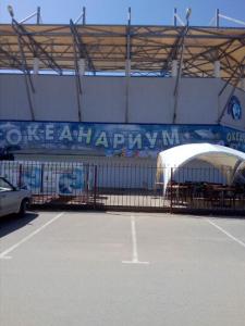 Незабудка - 3