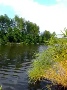 База отдыха у Викторовича - 2