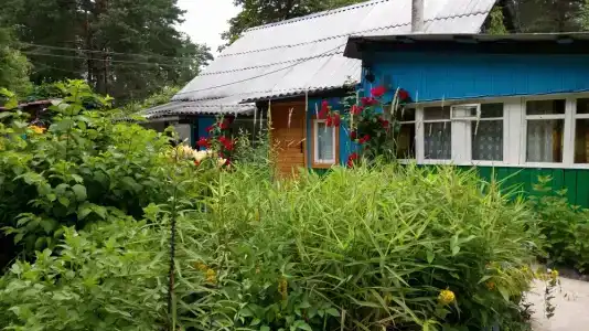 Озеро Белое - 10