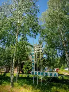 Берёзка - 28