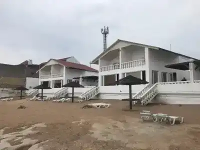 Оазис - 0