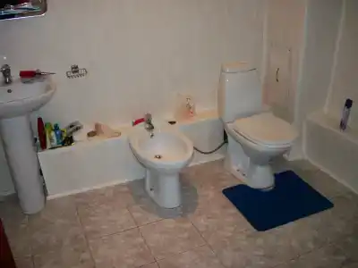 Русский лес - 43