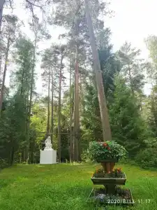 Звездочка - 9