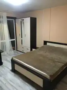 Дельфин - 2