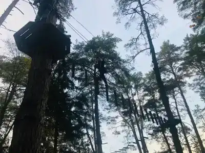 T-Park, тренинговый парк - 23