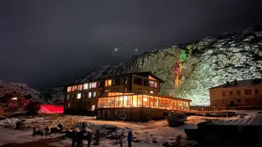 Cedar Grass Териберка - 16