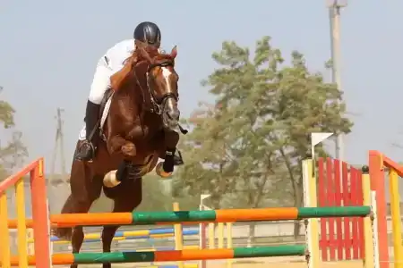 СВХ - 7