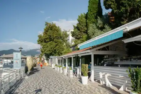 Бристоль - 76