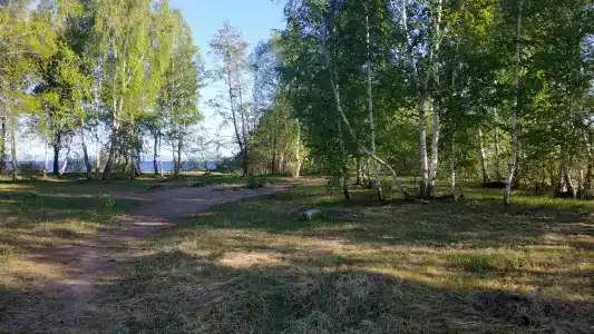 Палаточный лагерь - 10