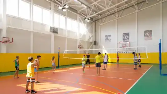 Фламинго - 24