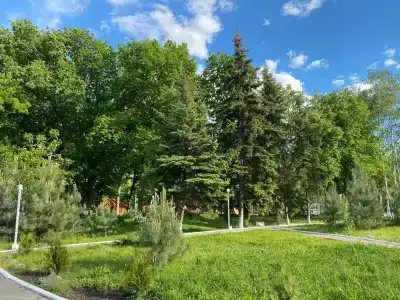 Березка - 10