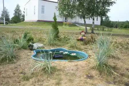 Белобережский детский санаторий - 2