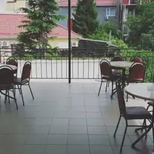 Дельфин - 2
