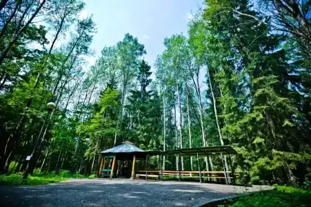 Кристалл - 19