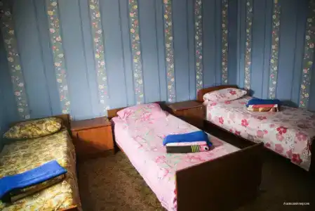 Азовский персик - 27