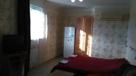 Манго - 13