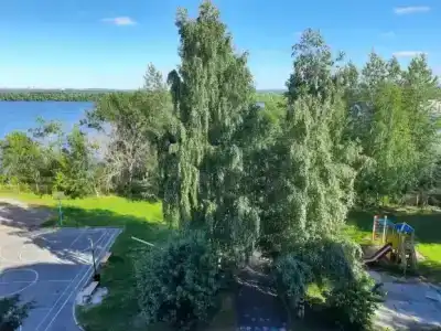 АЛМЕД - 32